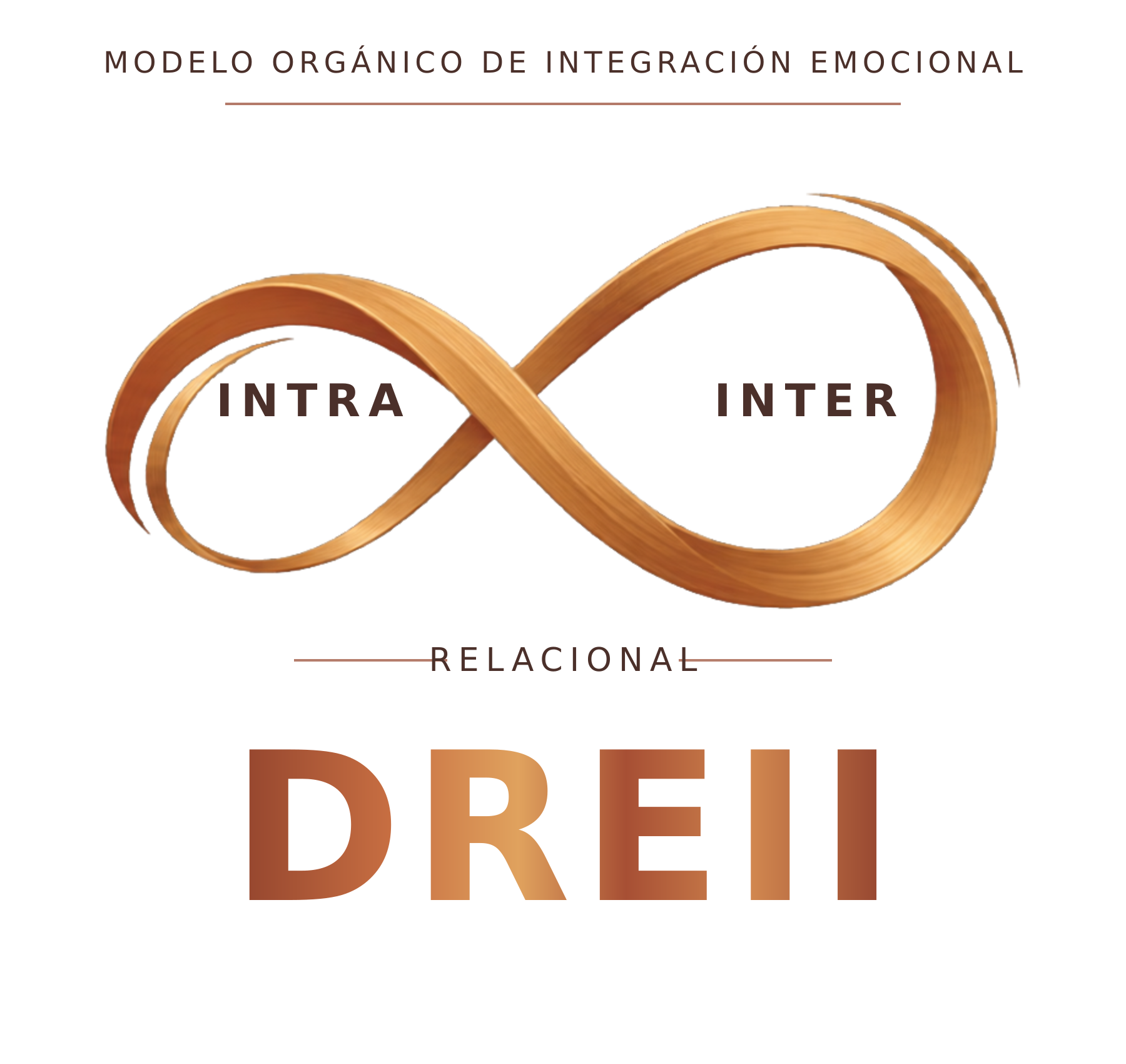 Modelo DREII